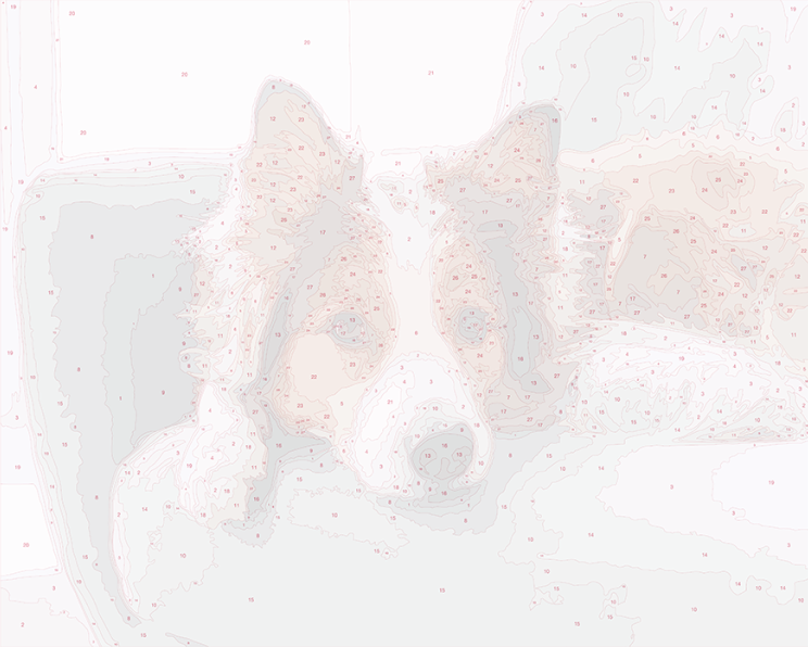 Paint by Numbers Before and After - Dog