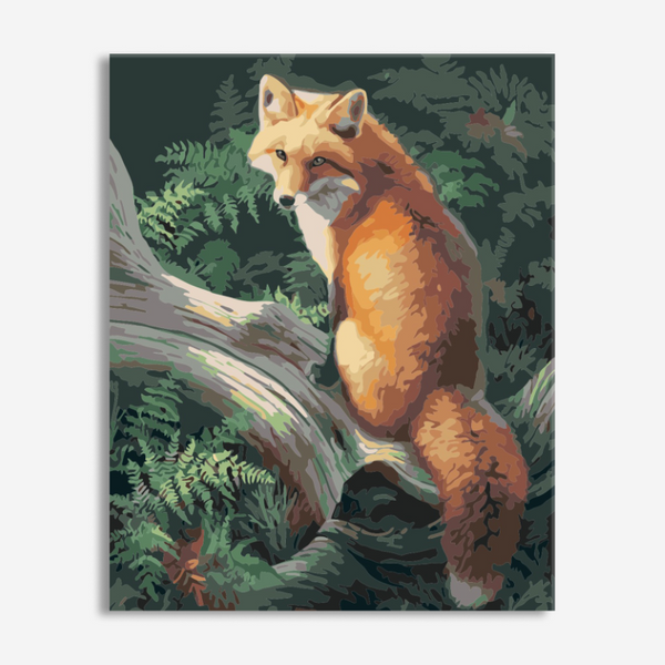 Fox On Tree - Paint By Number Kit