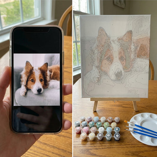 Made in USA - Custom Pet Paint by Numbers Canvas