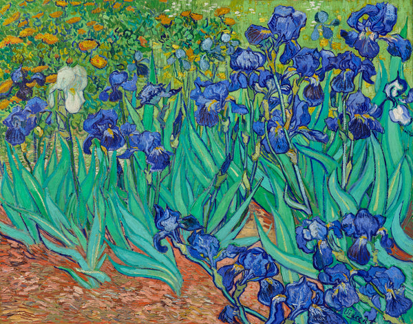 Irises by Van Gogh – Paint by Numbers Kit| 20