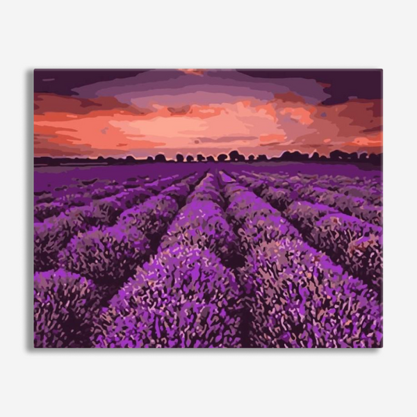 Lavender Field Sunset - Paint By Number Kit