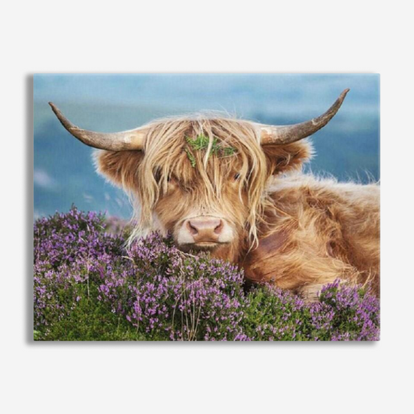 Highland Cow In Heater - Paint By Number Kit