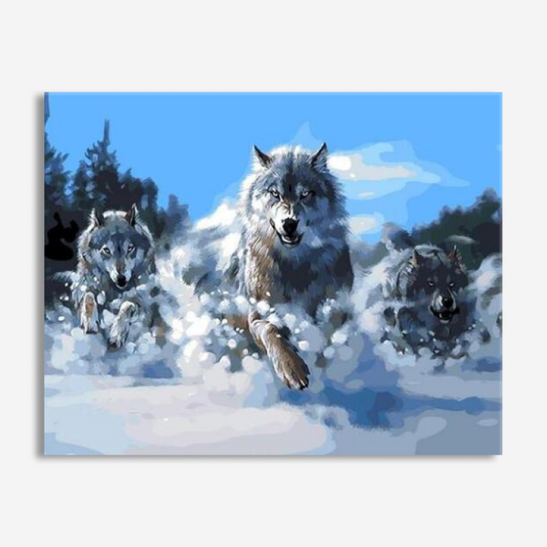 Snowy Wolf - Paint By Number Kit